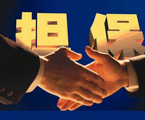 泰安弘澤擔保 勇做服務實體經濟主力軍，破解小微三農融資難題